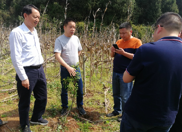 【宜昌民建人物风采】心系扶贫冲锋在前  持续助学成就梦想——记民建会员、宜昌金东山投资有限公司董事长高后远_fororder_图片3