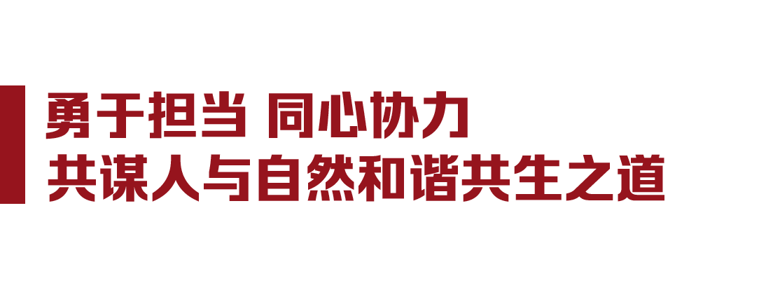 大党丨人民富裕 中国美丽