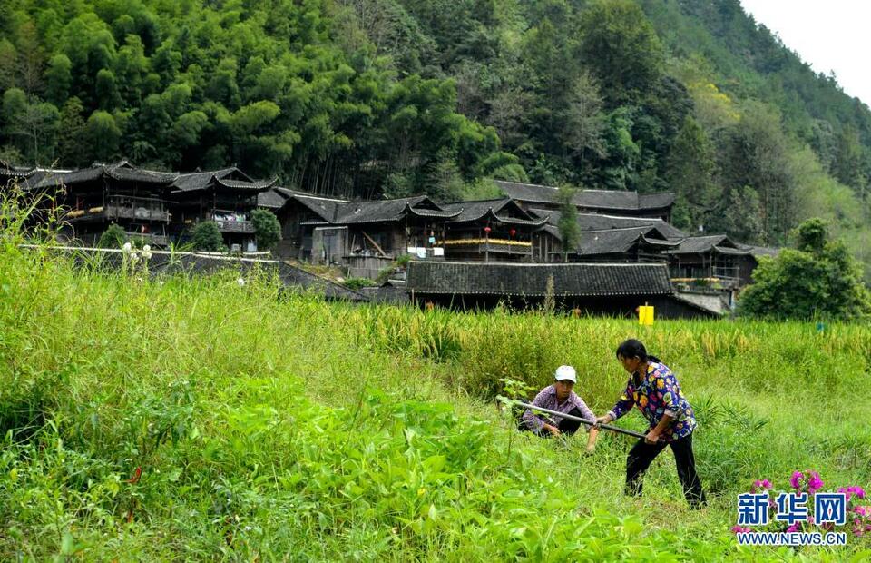 湖北宣恩：深山古寨引客来