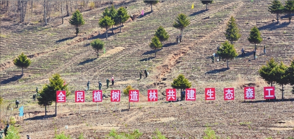 保护修复生态打造绿色银行 龙江森工集团倾力推进植树造林和林业产业发展