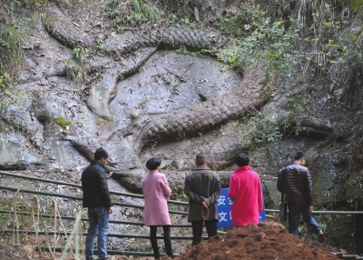 眉山文献部门称无证据证实石龙有关张献忠沉银