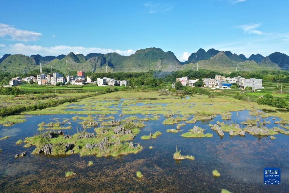 广西都安：湿地景色美