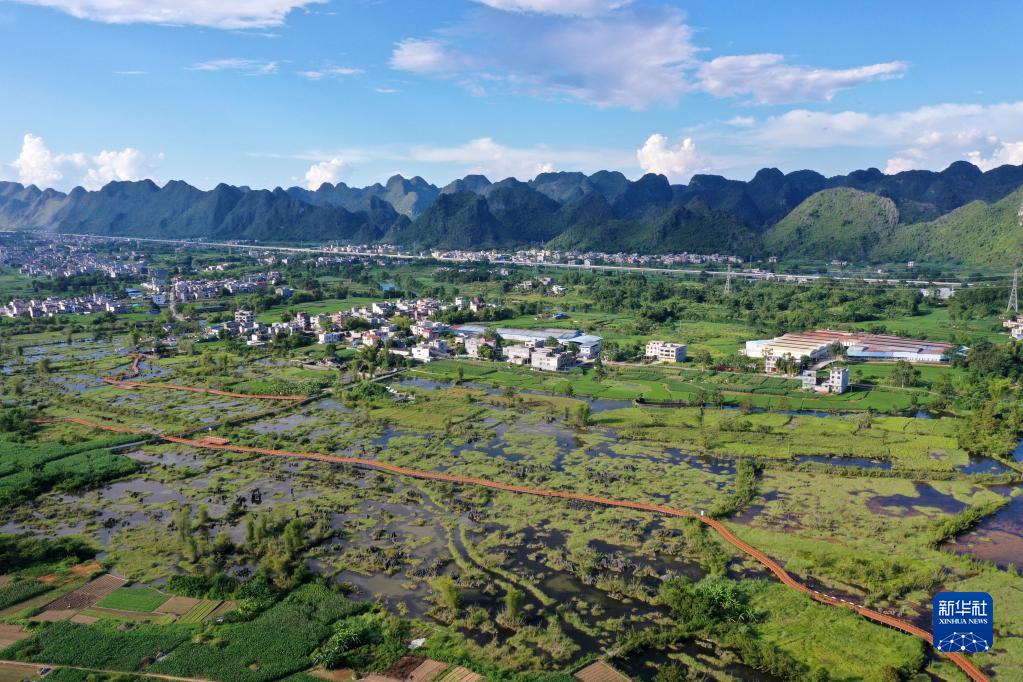 广西都安：湿地景色美