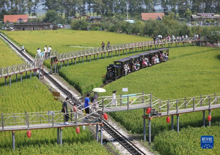 沈阳市沈北新区：助力农民增收 绘制乡村振兴新图景_fororder_沈北1