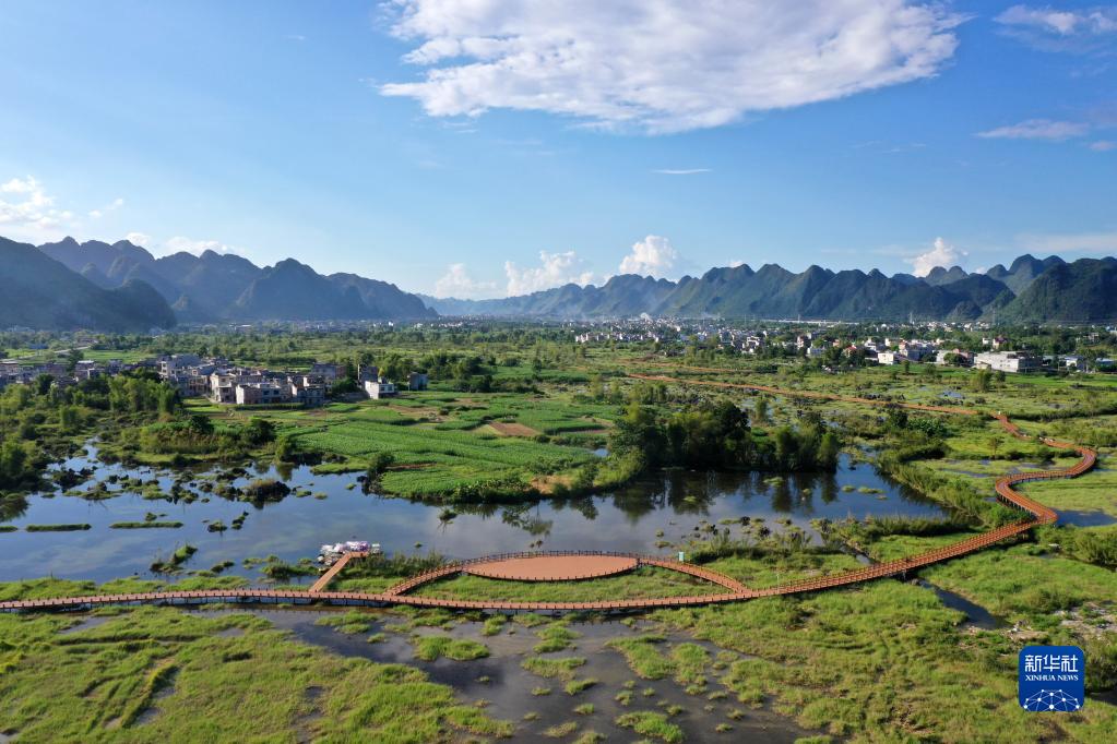 广西都安：湿地景色美