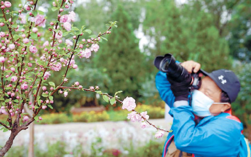 世界花卉大观园：300余种新优花卉装饰金秋