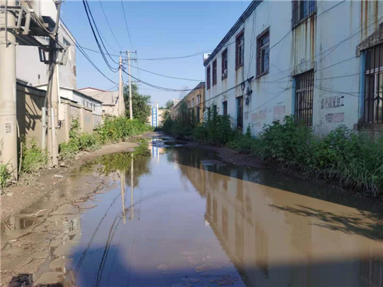 沈阳鸭绿江街道：新路铺到家门口，为民解忧办实事_fororder_图片5