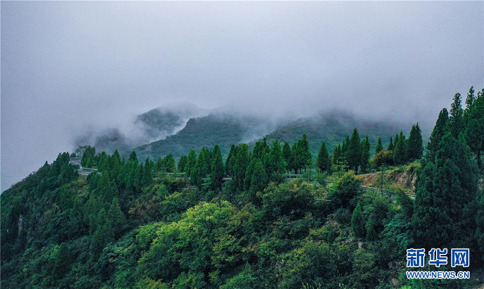 云雾潭溪山 独属于初秋的奇观！