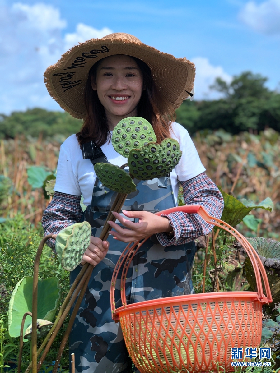 “荷”你有约 小村振兴“莲”经济