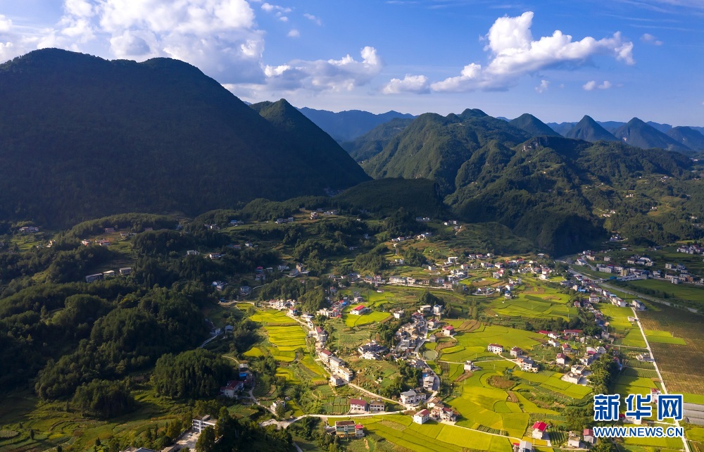 湖北建始：夕照白云村 山野尽染秋