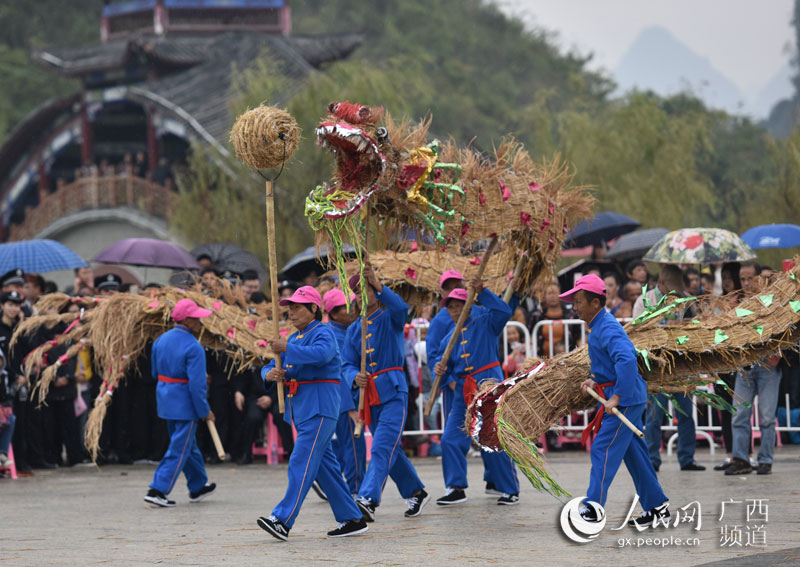 广西罗城依饭节上演舞草龙