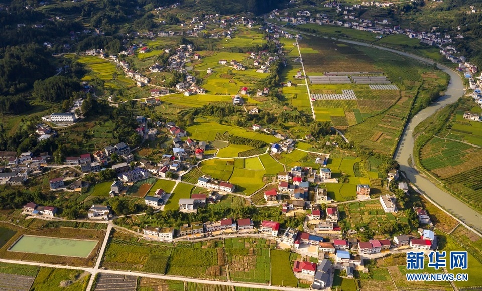 湖北建始：夕照白云村 山野尽染秋