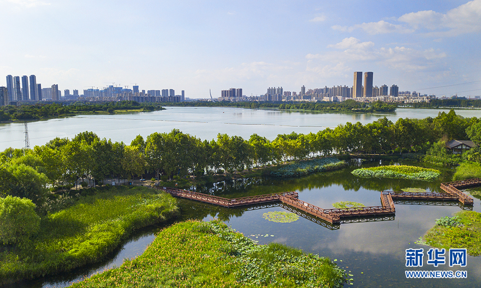 航拍武汉金银湖国家城市湿地公园