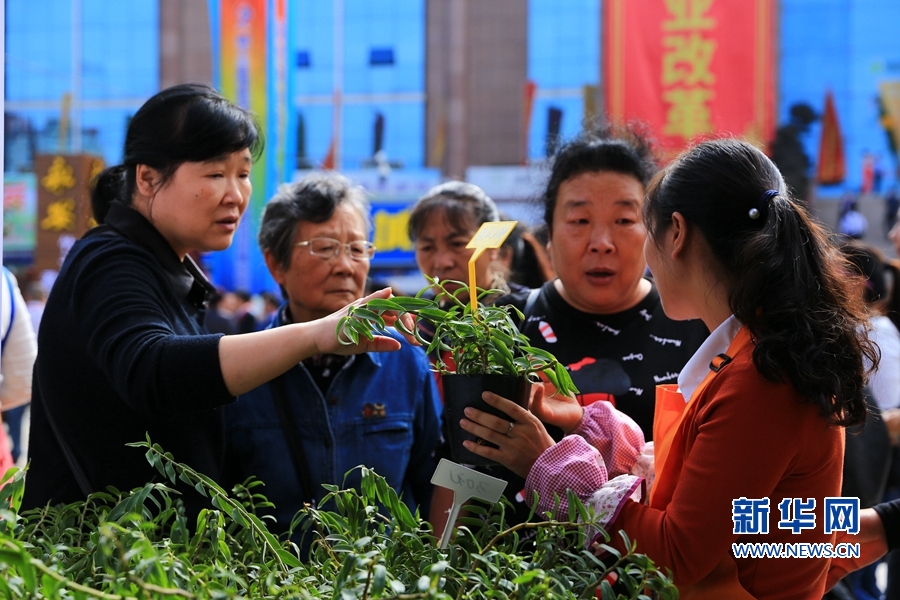 福建三明：竹木花果蔬齐聚亮相林博会