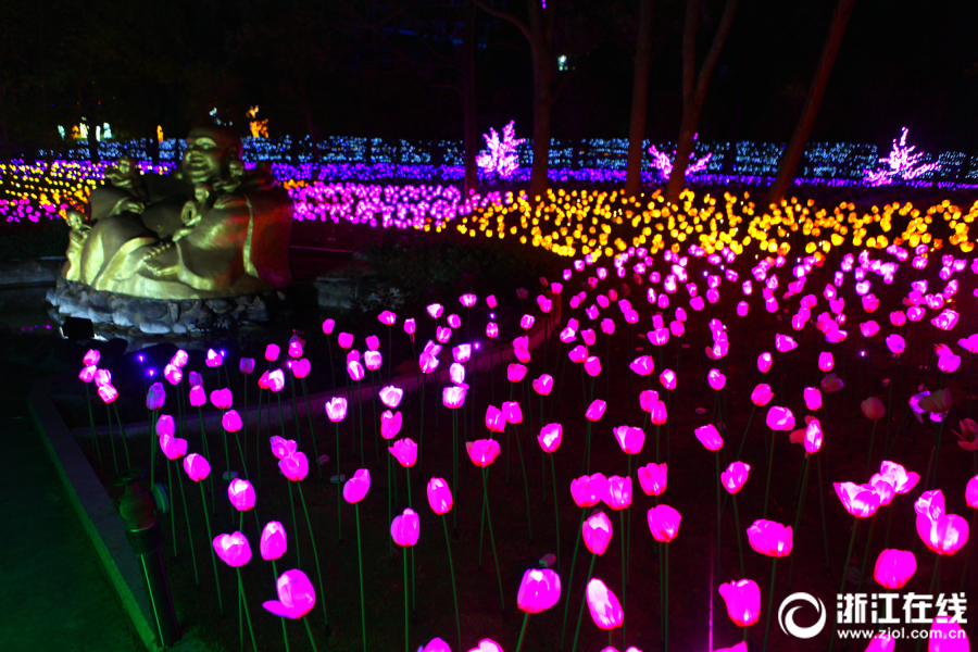 东阳：花园灯光节 编织夜空美