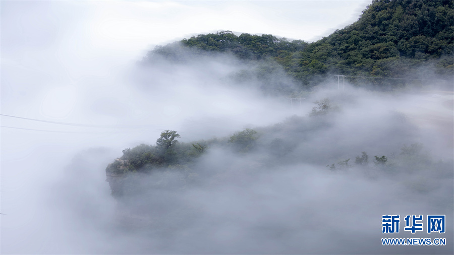 济源市思礼镇：自带“仙气”的水洪池，好美！