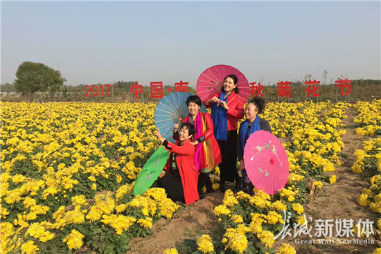 邯郸肥乡区首届菊花旅游文化节开幕