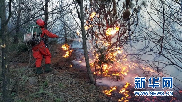 云南玉溪市澄江县发生森林火情 已蔓延至昆明市呈贡区