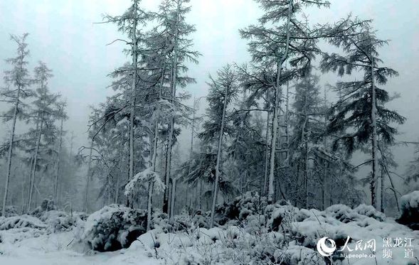 “中国最冷小镇”大兴安岭呼中初夏降大雪