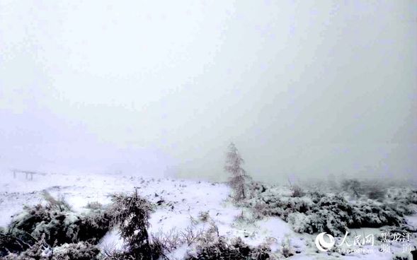 “中国最冷小镇”大兴安岭呼中初夏降大雪