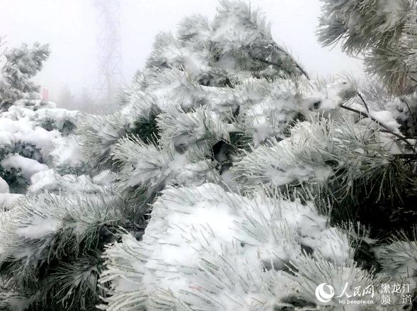 “中国最冷小镇”大兴安岭呼中初夏降大雪