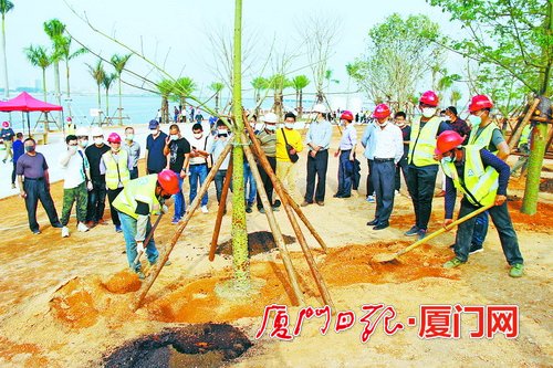 厦门绿化企业注意 三部分信用分影响招投标机会