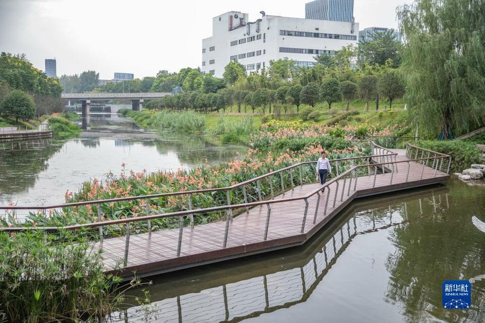 【城市远洋带图】重庆南岸：苦竹溪生态修复显成效