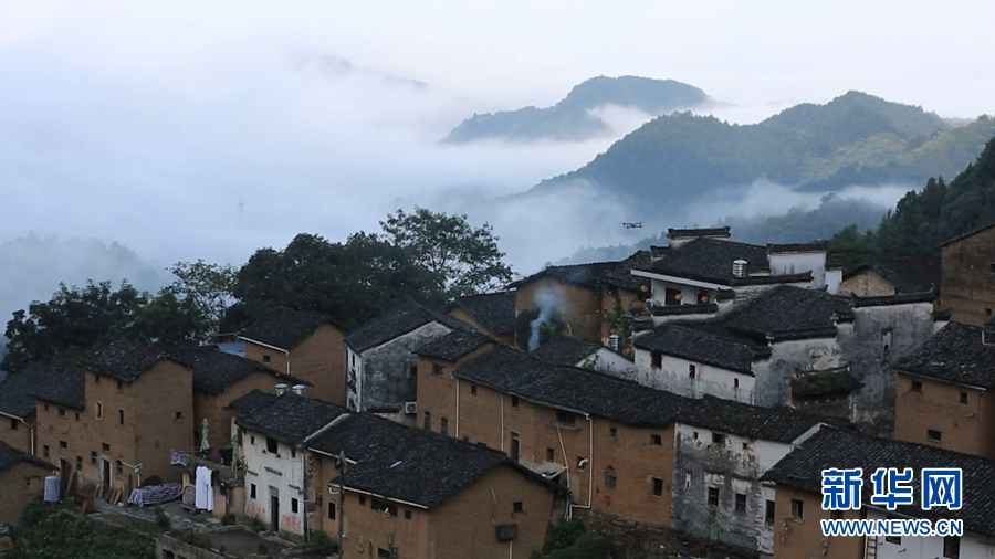 云外青山有“奇葩”