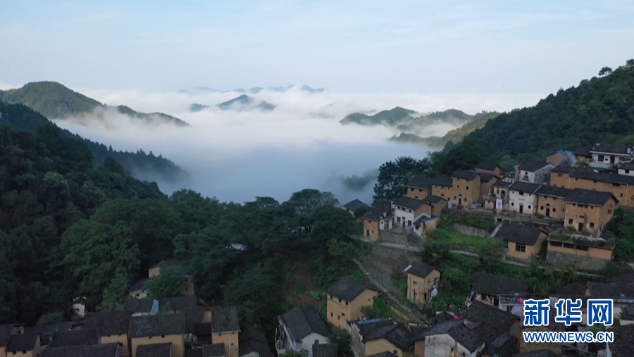 云外青山有“奇葩”