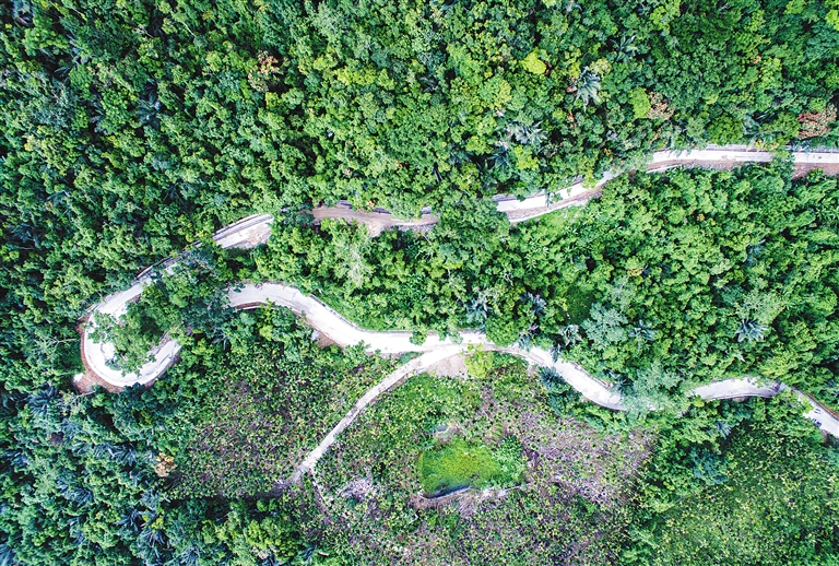 【焦点图】【交通】【即时快讯】陵水吊罗山旅游公路力争年底建成通车