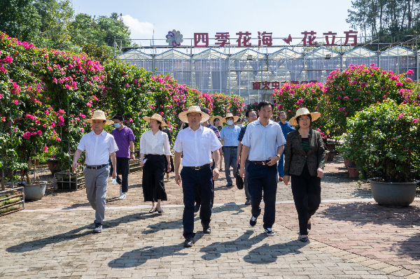 湖北省政协副主席张维国一行赴英山考察调研四季花海项目_fororder_图片1