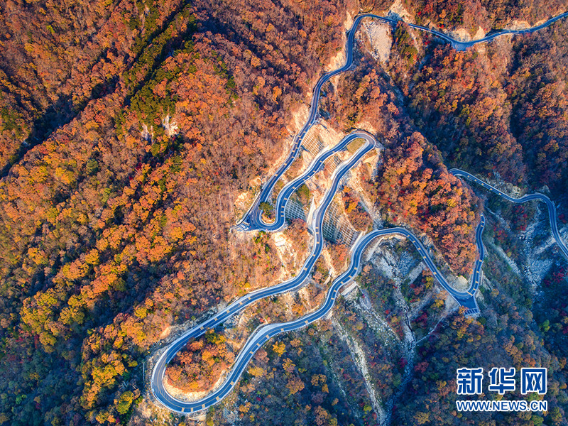 看万山红遍层林尽染 千里大别山流连忘返