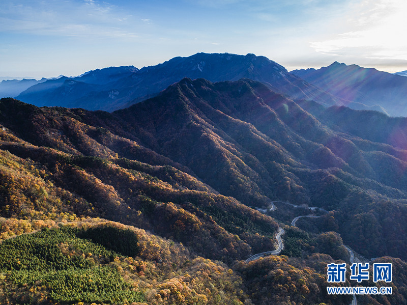 看万山红遍层林尽染 千里大别山流连忘返