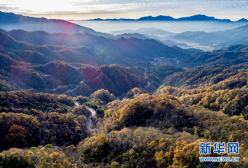 看万山红遍层林尽染 千里大别山流连忘返