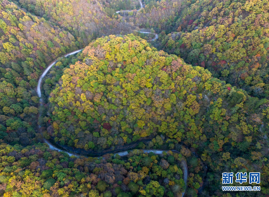 秦岭秋韵