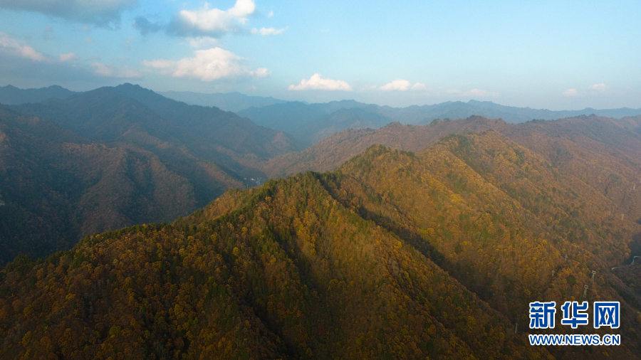 秦岭秋韵