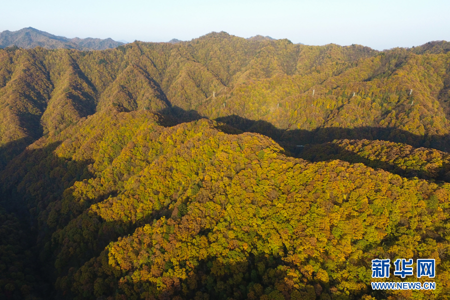 秦岭秋韵