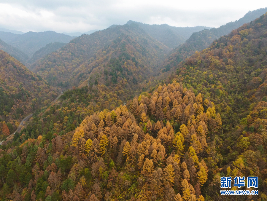 秦岭秋韵