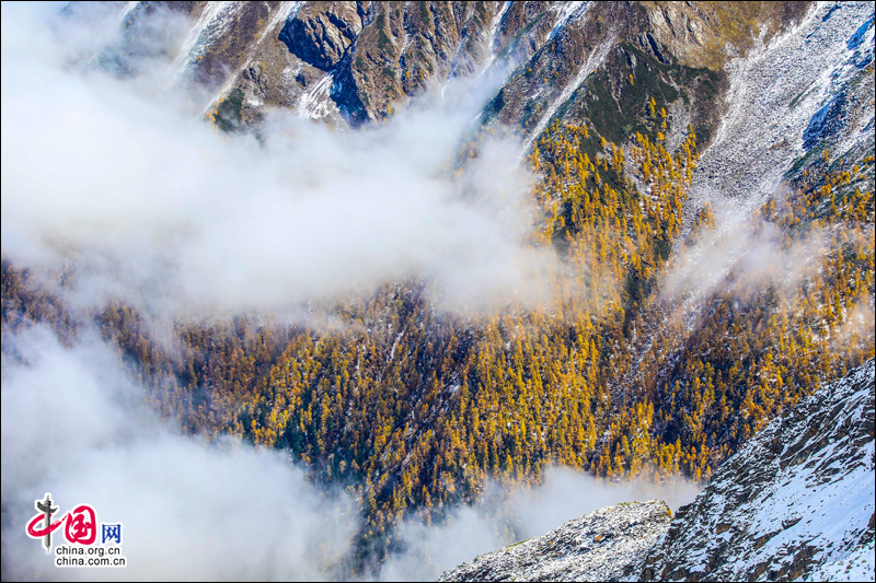 冰山彩林联袂 达古冰山金秋最浪漫的风景线