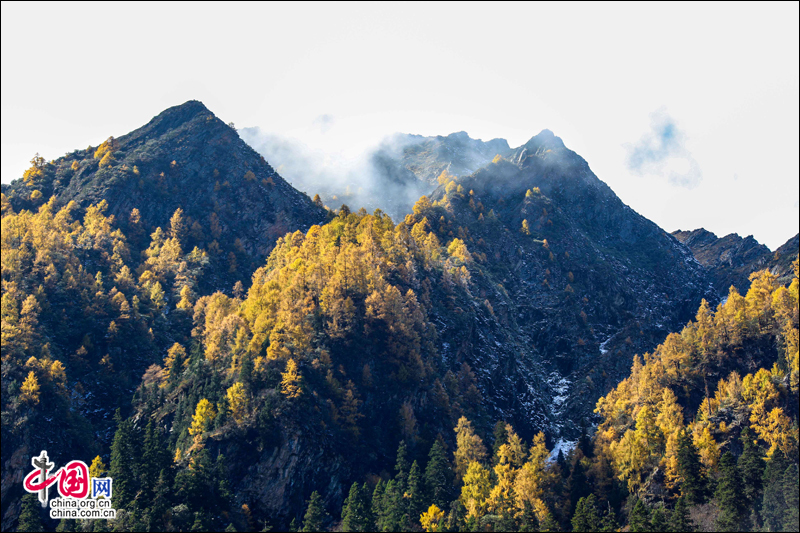 冰山彩林联袂 达古冰山金秋最浪漫的风景线