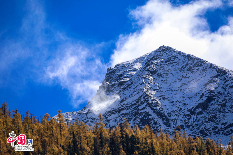 冰山彩林联袂 达古冰山金秋最浪漫的风景线