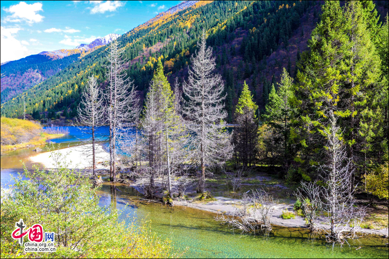 冰山彩林联袂 达古冰山金秋最浪漫的风景线