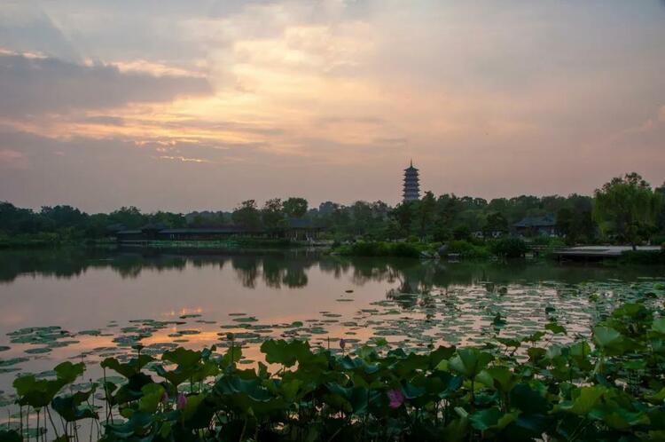 扬州：夏末初秋怡人色 古城悠游正当时