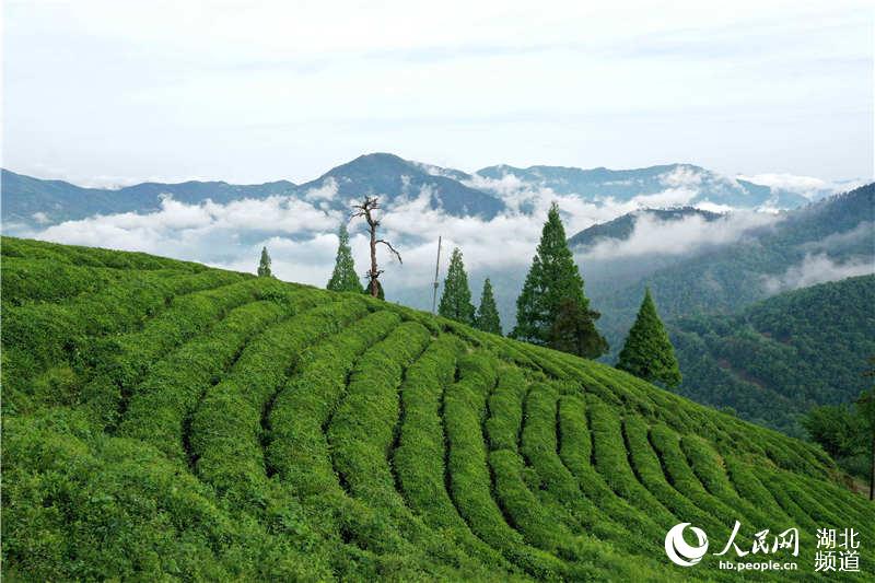 湖北保康：雨后山城美如画