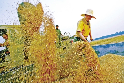 【经济速递-文字列表】河南牢守粮食安全底线 推进供给侧结构性改革