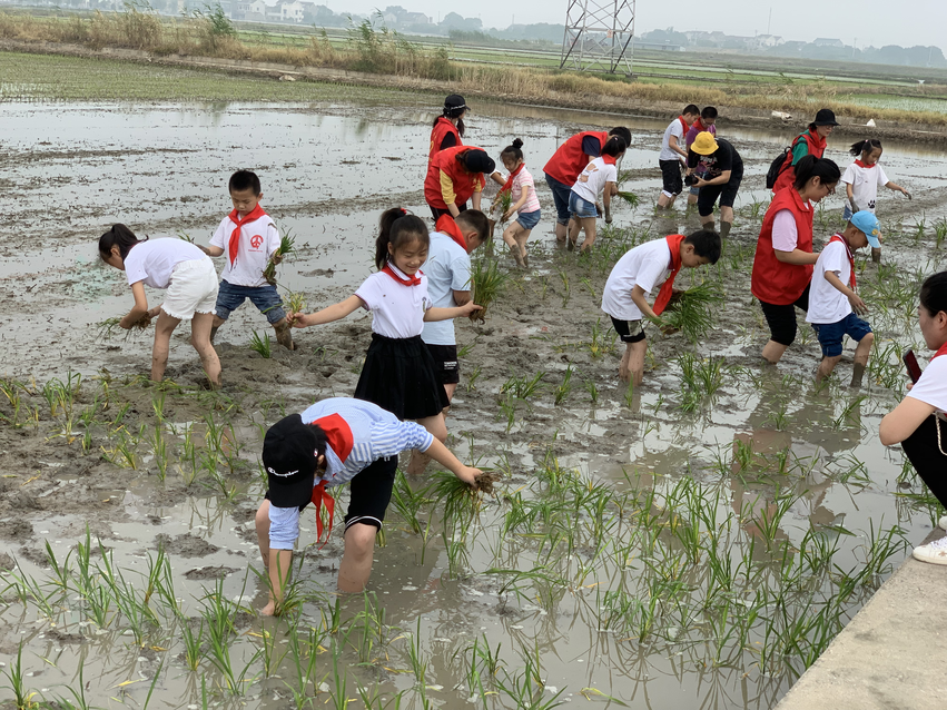 （供稿 社会广角列表 三吴大地常州 移动版）常州溧阳开展“下农田 学农技 知农事感农恩”活动（列表页标题）溧阳开展“下农田 学农技 知农事感农恩”活动