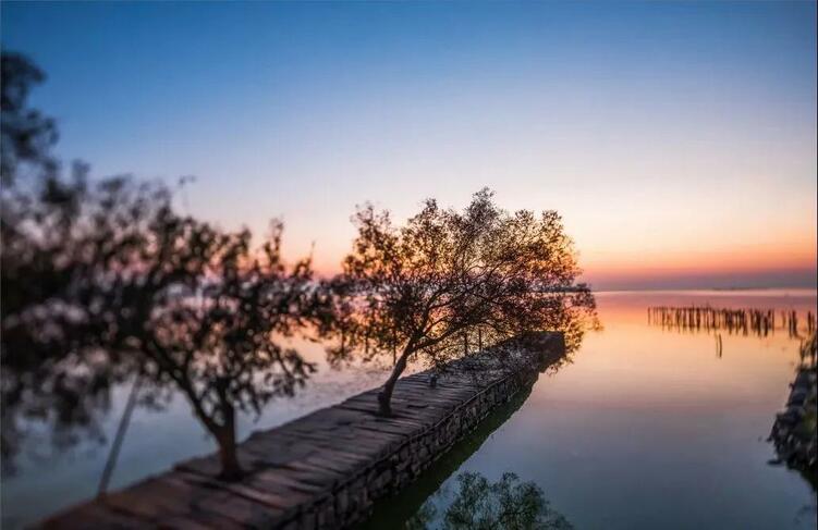 秋意浓 赏太湖秋日图鉴