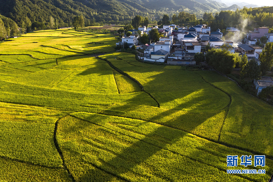 平顶山鲁山：美丽乡村多姿多彩