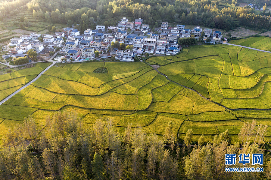 平顶山鲁山：美丽乡村多姿多彩