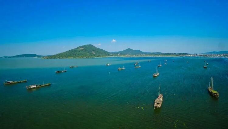 秋意浓 赏太湖秋日图鉴